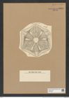 Actinoptychus praetor A. Schm. (de-Toni-Nr.: Genus 227, Species 5614) Zeichnungen Sammlung Grunow Nr. 9504 (NHMW-BOT-W0379488)